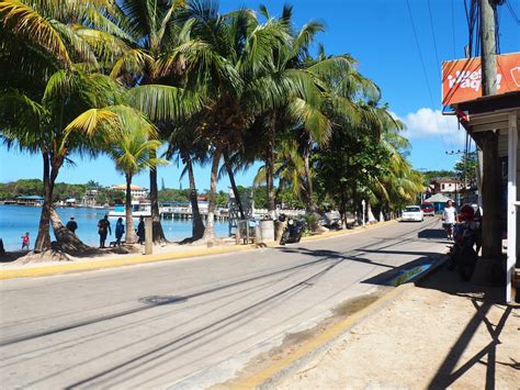 Where to eat your 'baleadas' on Roatán, Honduras - Tiny Travelogue