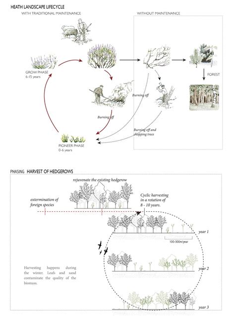 Biomass for all: designing an inclusive biomass infrastructure | Scenario Journal