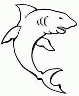 Basking Shark Coloring Pages  Free Home sketch template