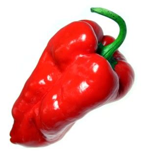 Smoked Ancho Peppers - Fiery Foods & Barbecue Central