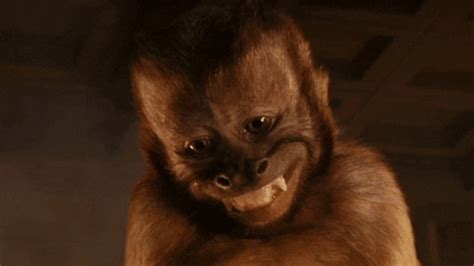 Monkey Riches GIFs - Find & Share on GIPHY