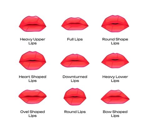 Premium Vector | Types of woman lips Different shapes of female mouth ...