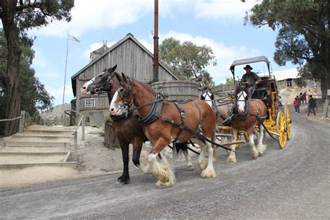 Gold Rush Student Tours to Ballarat - WorldStrides Australia