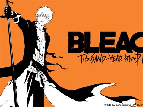 Update 157+ bleach final arc anime super hot - in.eteachers