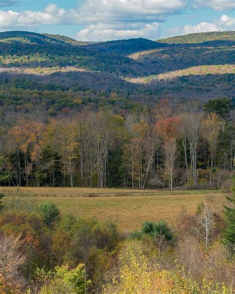 Discovering Pennsylvania's Elk Herd at the Elk Country Visitor Center - Uncovering PA