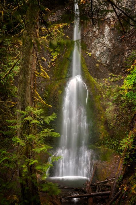 Marymere Falls, Lake Crescent, Washington | The self-guided … | Flickr