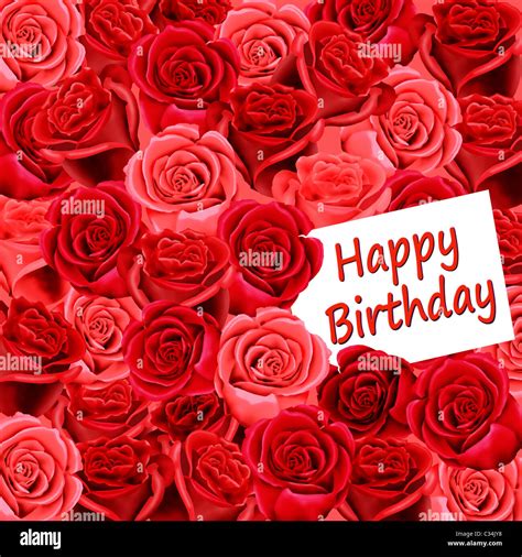 Best 999+ Birthday Roses Images: Stunning Full 4K Collection of Birthday Roses Images