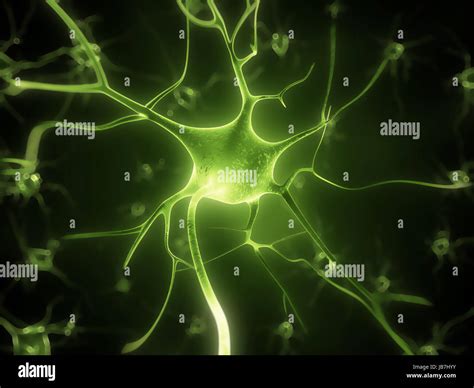 3d rendered illustration - nerve cell Stock Photo - Alamy