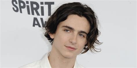 Timothée Chalamet (Movie Actor) Age, Birthday, Birthplace, Bio, Facts ...