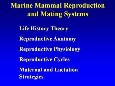 PPT – Marine Mammal Reproduction and Mating Systems PowerPoint presentation | free to view - id ...