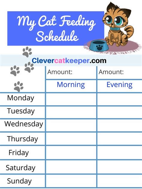 Printable Kitten Feeding Chart - Printable World Holiday