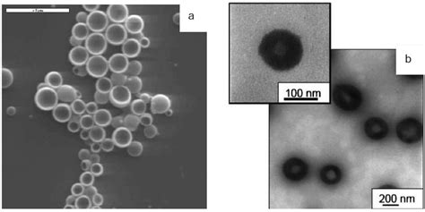 Images of nanocapsules prepared by miniemulsion polymerization: a) SEM ...