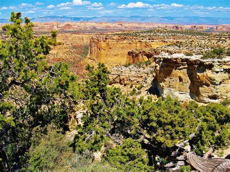 Eagle Canyon Utah Photograph by Wendy Rickwalt - Fine Art America