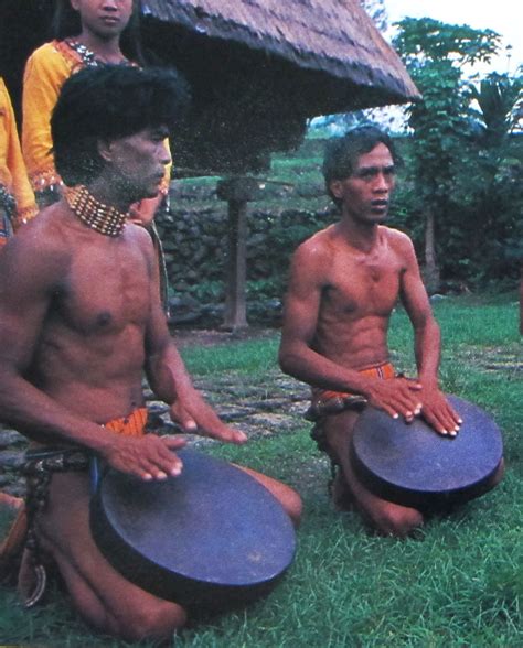 gángsa | Ang gángsa ay instrumento na gong ng mga katutubong… | Flickr