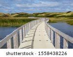 Landscape with marsh and boardwalk image - Free stock photo - Public ...