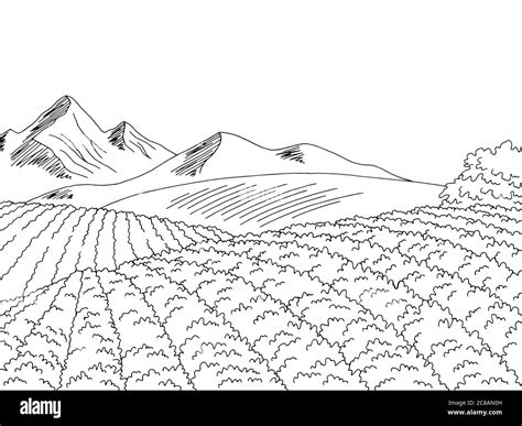 Details more than 73 plantation sketch latest - in.eteachers