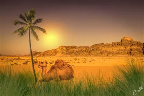 Scorching desert by Crm96 on DeviantArt