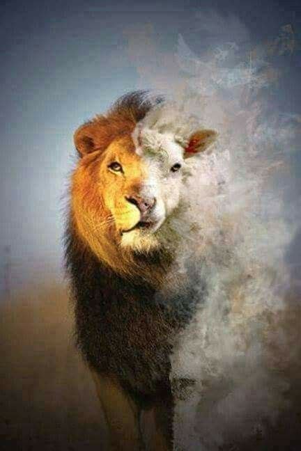 Jesus the Lamb of God and the Lion of the tribe of Judah. | Lion and ...