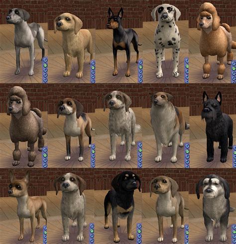 Mod The Sims - AMjoie Dog Breeds: Part One -- Small Dogs (More Than Two Dozen)