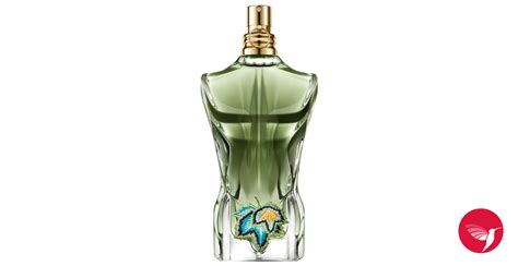 Jean Paul Gaultier New Fragrance 2024 - Elsa Nolana