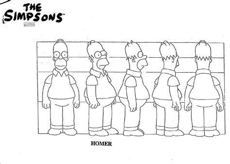 Homer Simpson Model Sheet