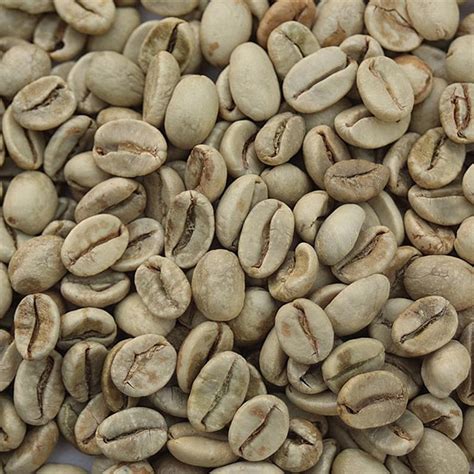 FREE SHIPPING Unroasted Organic Robusta Green Coffee Beans | Etsy