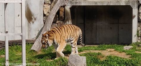 Is Tennoji Zoo (Osaka) worth visiting?