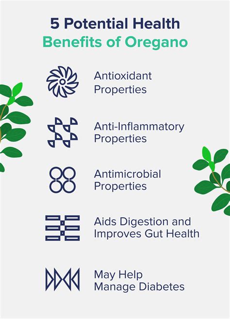 Health Benefits of Oregano - The Nutrition Insider