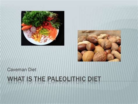 What is the paleolithic diet