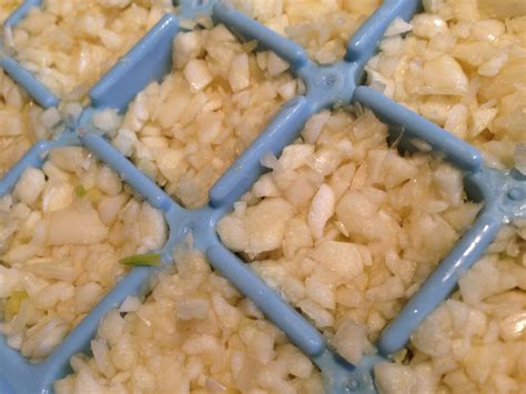 Chopped Garlic - ScienceDemo.org