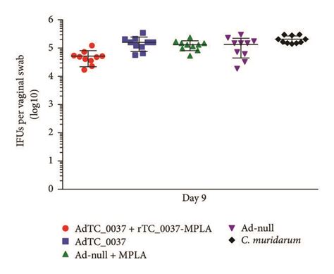 Prime-boost immunization with Ad-TC_0037/rTC0037-MPLA enhances... | Download Scientific Diagram