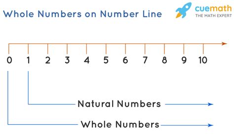 What Is a Whole Number for Kids - Macvitie Reautive