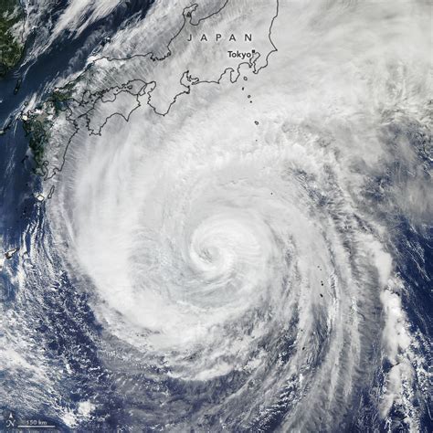 Typhoon Hagibis stuns scientists with size | Bangkok Tribune