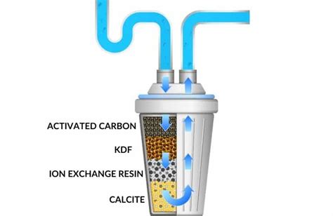 Purified vs Distilled Water: What's the Difference?