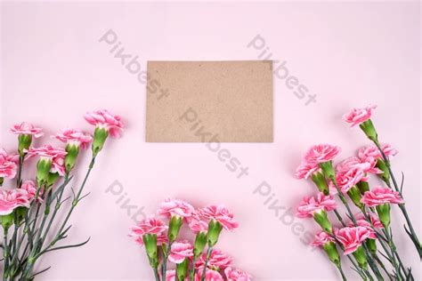 Pink Carnation Background Photography Diagram Card | PSD Free Download - Pikbest