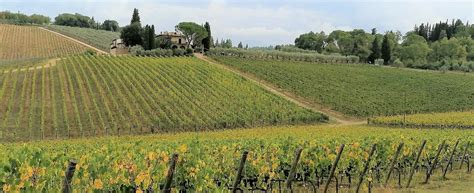 Private Wine Tour in Chianti from Florence