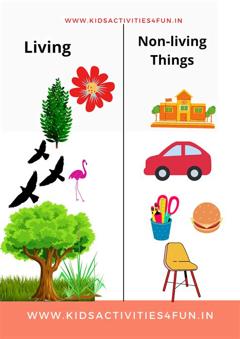 Living & Non-living Things Activity Experiment for kids and natural & man-made things and class ...