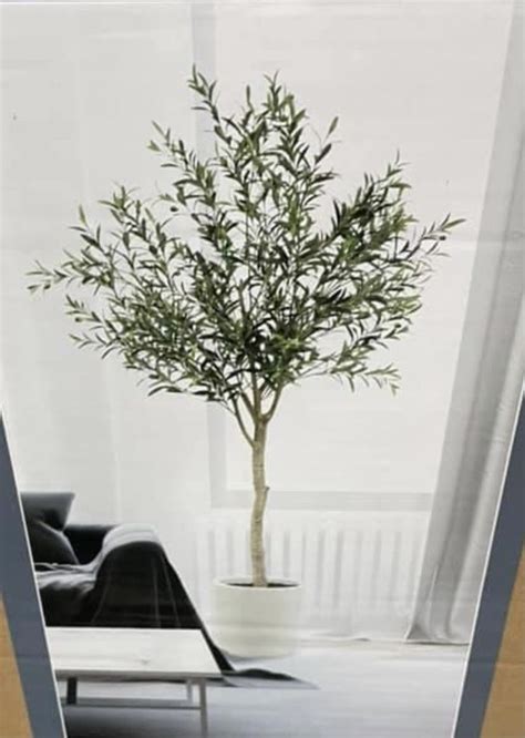 Indoor Tree Plants, Artificial Indoor Trees, Trees To Plant, Showroom, Home Decor Decals, Tree ...