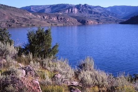 Curecanti National Recreation Area, Colorado - Recreation.gov