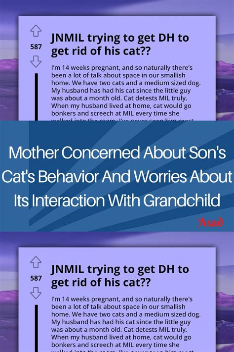 Mother concerned about son s cat s behavior and worries about its ...