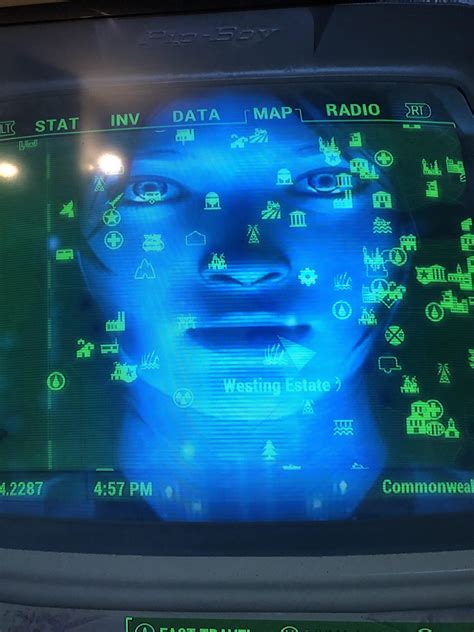 [Fo4] does anybody know what mod is causing this face to appear on my pip boy screen? : r ...