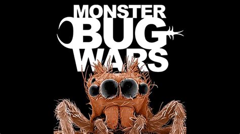 TOP 10 BUG FIGHTS | MONSTER BUG WARS