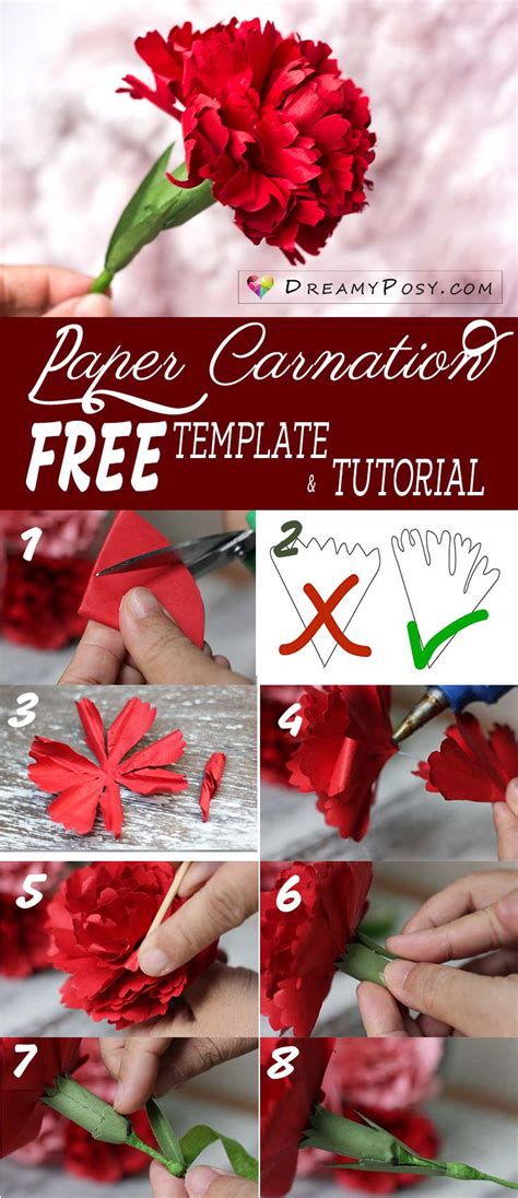 How to make Carnation paper flower, free template, easy