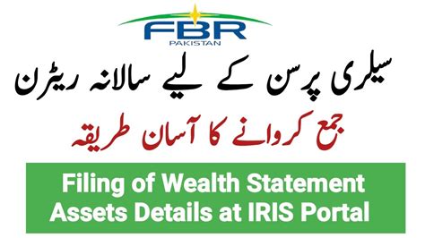 How to declare Assets in IRIS Portal || Filing of Wealth Statement ...