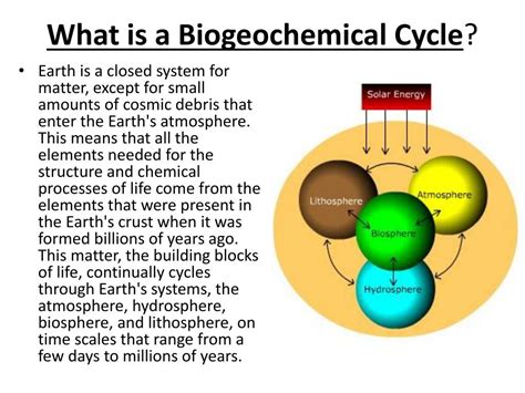 What Is A Biogeochemical Cycle In Ecology Definition - vrogue.co