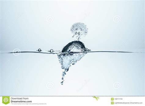 Ice Cube in Water with Splash Stock Photo - Image of clear, white: 108711720