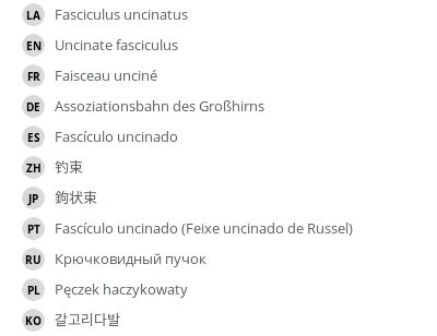 Uncinate fasciculus - vet-Anatomy - IMAIOS