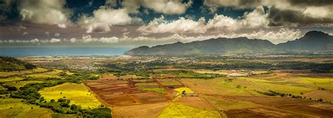 Things to do in Lihue - This Hawaii Life