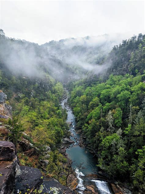 Tallulah Gorge State Park, Tallulah Falls, Georgia [3024x4032][OC] : EarthPorn