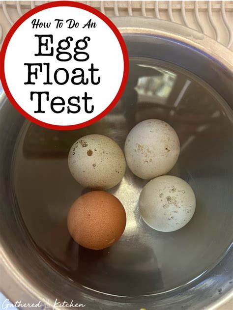 Egg Float Test | Gathered in the Kitchen